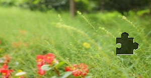 99.95% C2h4 Ethylene Fill in 40L-50L Cylinder with Cga 350 Valve and Cap Price