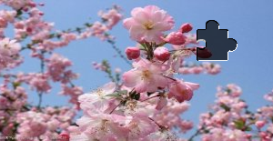 High Purity Nitrous Oxide N2o for Confectionery Processing