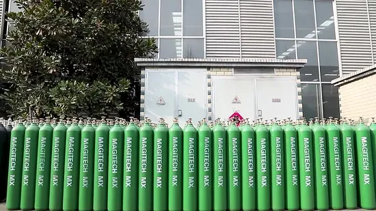 40L Oxygen Cylinder/Medical Oxygen Cylinder with Qf-6A Valve for Egypt Market - Image 5