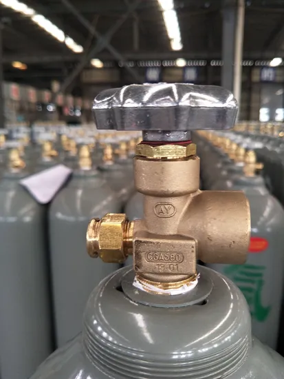Tped 40L Nitrogen Cylinders - Image 2