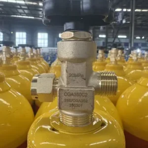 Carbon Monoxide Co Gas for Carbonylation Reactions and Fine Chemicals
