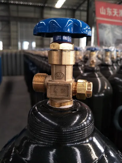 40L Oxygen Cylinder Tped Standard - Image 4