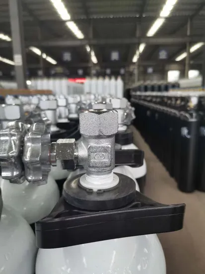 10L Steel Oxygen Cylinders with Qf-7D2 Valve - Image 2