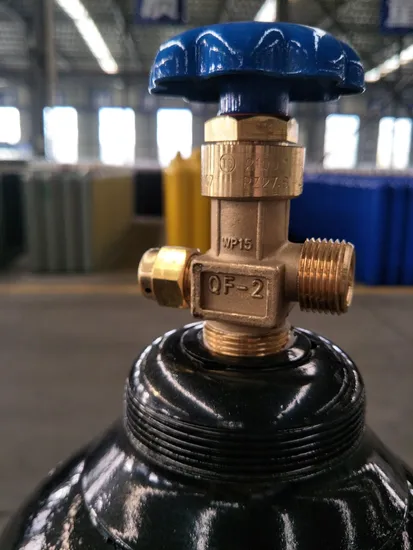 40L Oxygen Cylinder Tped Standard - Image 3