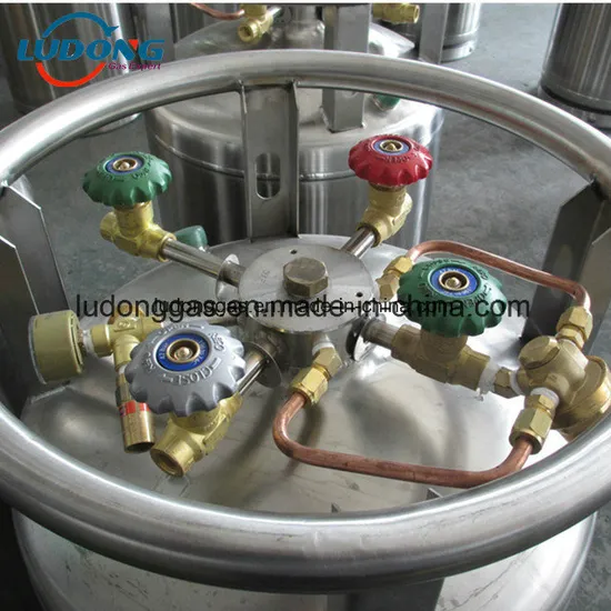 175L 195L 210L 500L Vertical Liquid Oxygen Dewar Cylinder/ Cryogenic Cylinder - Image 7