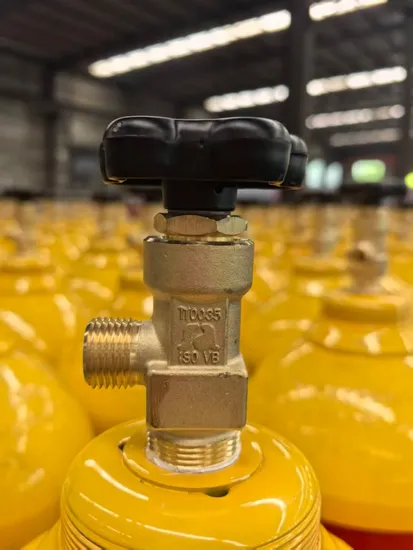 40L Co Gas Carbon Monoxide Gas Manufacturer - Image 3