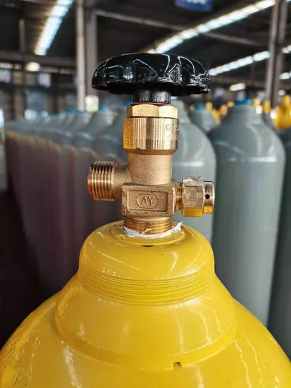 Medical Sterilization Gas Cylinder: Carbon Dioxide & Ethylene Oxide Blend